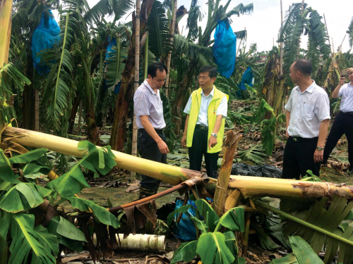 坚守初心 聚焦保障 中华保险扎实推进农业保险高质量发展